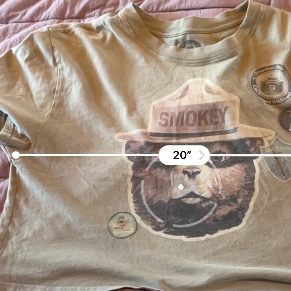 Smokey Bear Cropped T-Shirt - Medium - Picture 5 of 5